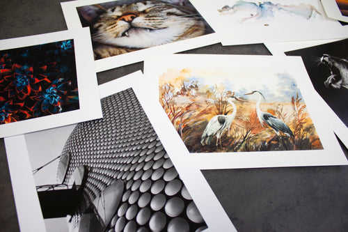Examples of fine art prints and photo prints on paper.