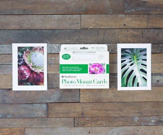 Strathmore Photo Mount Classic Border Cards 5" x 6 7/8"- Case of 400 Cards (Pre-Buy)