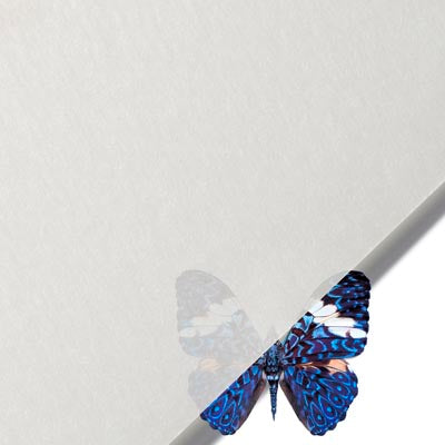 Products – Page 145 – Opus Art Supplies