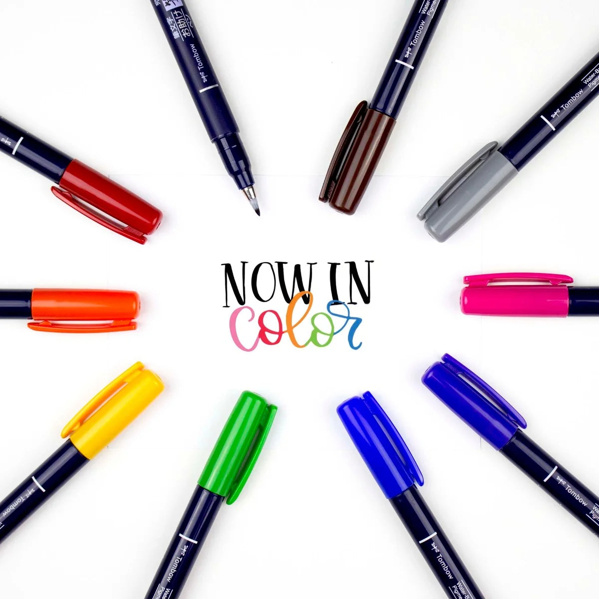 Lot de 10 pinceaux de couleur Tombow Fudenosuke