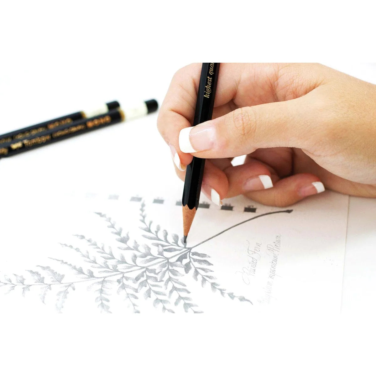 Tombow MONO Pencils