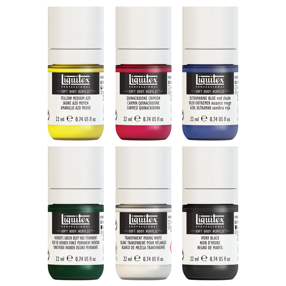 Liquitex Professional Soft Body Mixing Set of 6 Small