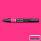 Winsor & Newton Promarkers - Pinks