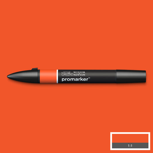 Winsor & Newton Promarkers - Oranges