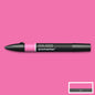 Winsor & Newton Promarkers - Pinks