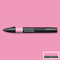 Winsor & Newton Promarkers - Pinks