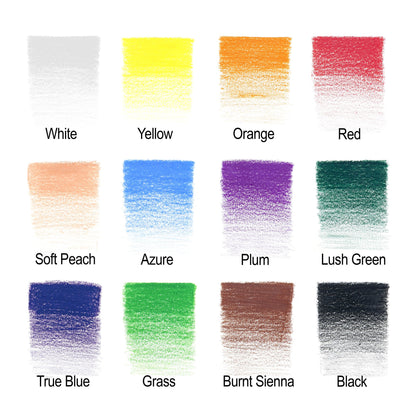 Winsor & Newton Studio Collection Colour Pencil Set of 12