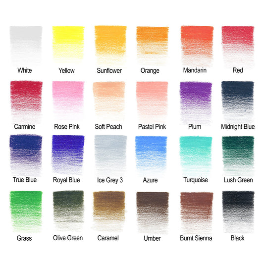 Winsor & Newton Studio Collection Colour Pencil Set of 24