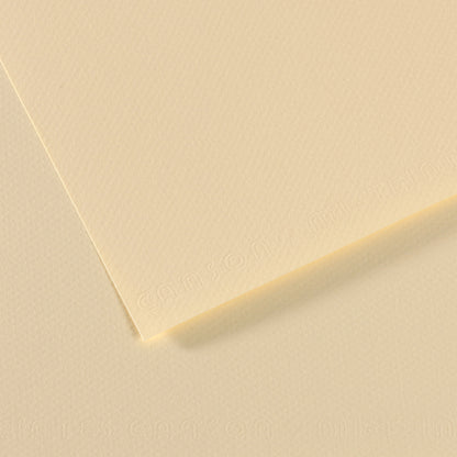Canson Mi-Teintes Pastel Papers - 19" x 25"