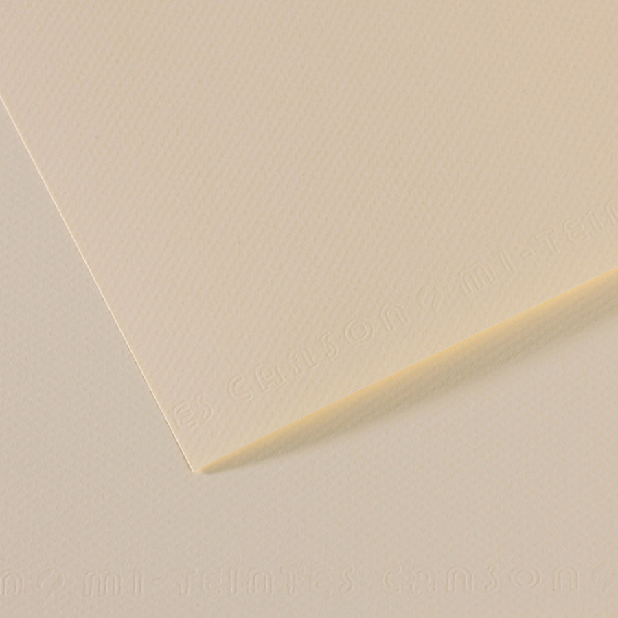 Canson Mi-Teintes Pastel Papers - 19" x 25"