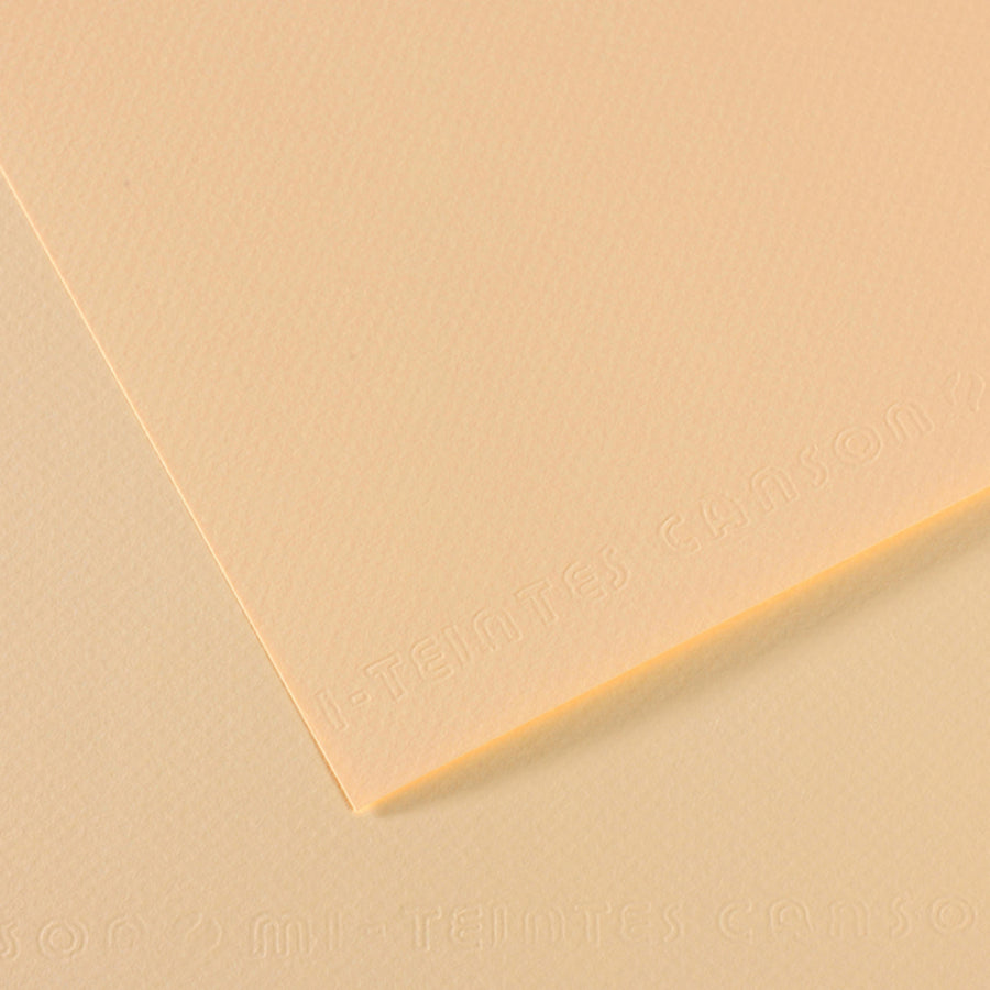 Canson Mi-Teintes Pastel Papers - 19" x 25"