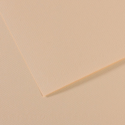 Canson Mi-Teintes Pastel Papers - 19" x 25"