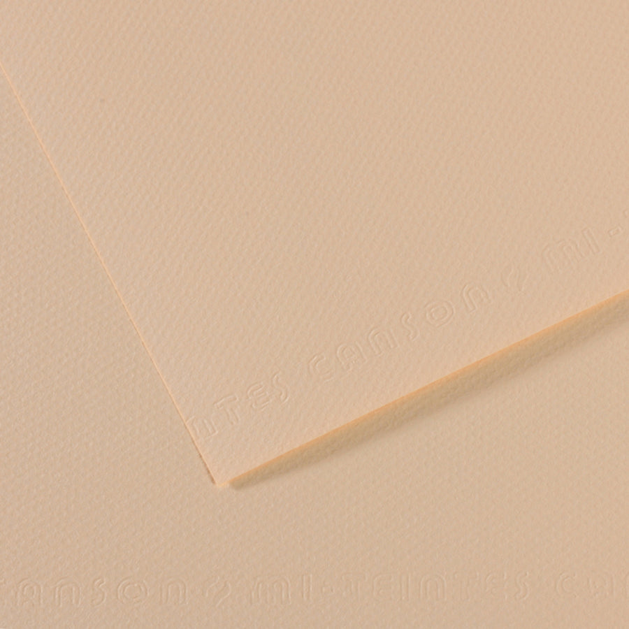 Canson Mi-Teintes Pastel Papers - 19" x 25"