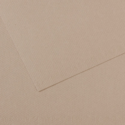 Canson Mi-Teintes Pastel Papers - 19" x 25"