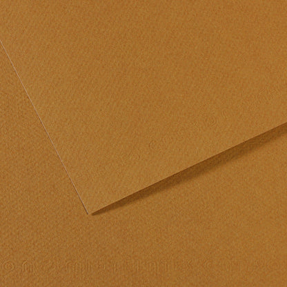 Canson Mi-Teintes Pastel Papers - 19" x 25"