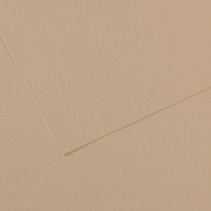 Canson Mi-Teintes Pastel Papers - 19" x 25"