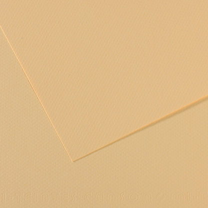 Canson Mi-Teintes Pastel Papers - 19" x 25"