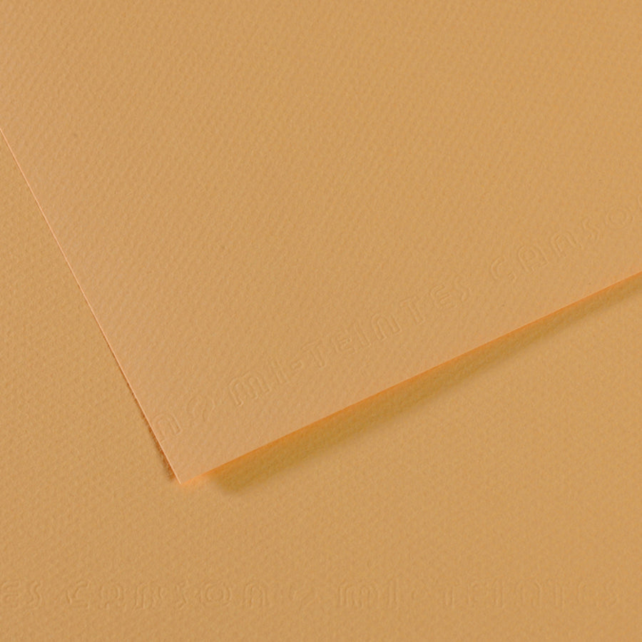 Canson Mi-Teintes Pastel Papers - 8.5" x 11"