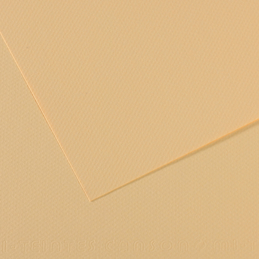Canson Mi-Teintes Pastel Papers - 8.5" x 11"