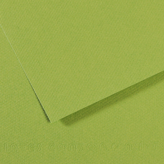 Canson Mi-Teintes Pastel Papers - 8.5" x 11"