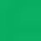 Caran d'Ache Luminance 6901® Colour Pencils - Brown or Green