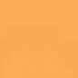 Caran d'Ache Neocolor II - White or Yellow