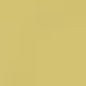 Caran d'Ache Neocolor II - White or Yellow