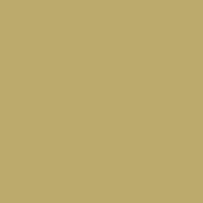 Caran d'Ache Neocolor II - White or Yellow