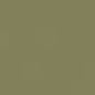 Caran d'Ache Neocolor II - Brown or Green