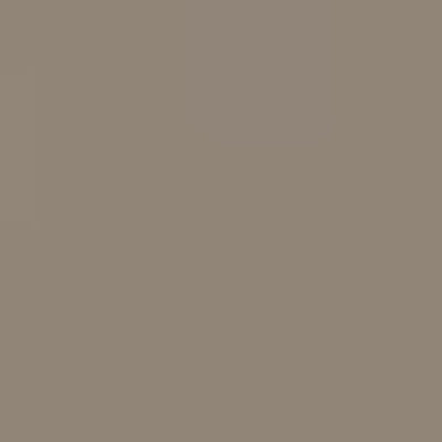 Caran d'Ache Neocolor II - Brown or Green