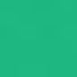 Caran d'Ache Neocolor II - Brown or Green
