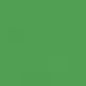 Caran d'Ache Neocolor II - Brown or Green