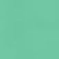 Caran d'Ache Neocolor II - Brown or Green