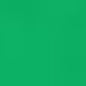 Caran d'Ache Neocolor II - Brown or Green