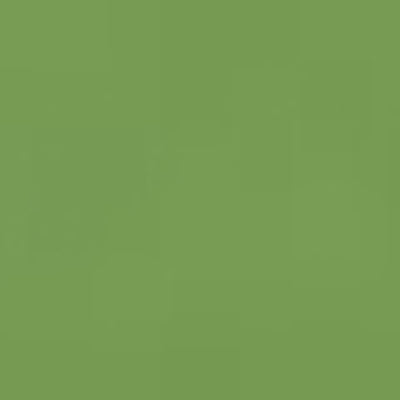 Caran d'Ache Neocolor II - Brown or Green