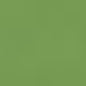 Caran d'Ache Neocolor II - Brown or Green