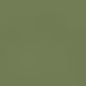 Caran d'Ache Neocolor II - Brown or Green
