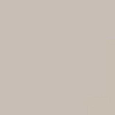 Caran d'Ache Neocolor II - Brown or Green