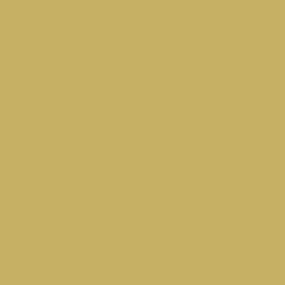 Caran d'Ache Neocolor II - Other Colours