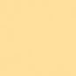 Caran d'Ache Neocolor II - White or Yellow