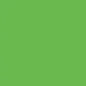 Caran d'Ache Neocolor II - Brown or Green