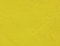 Gamblin Artist's Oil Colors - White or Yellow