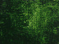 Gamblin Artist's Oil Colors - Brown or Green