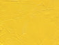 Gamblin Artist's Oil Colors - White or Yellow