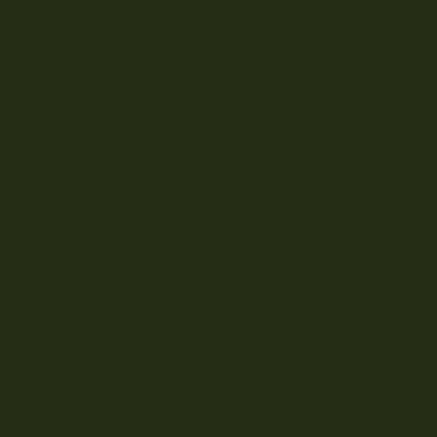 GOLDEN Fluid Acrylics -  Brown or Green