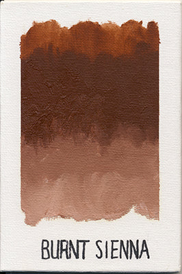 Williamsburg Oils - Brown or Green