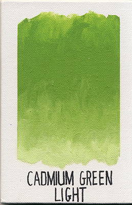 Williamsburg Oils - Brown or Green