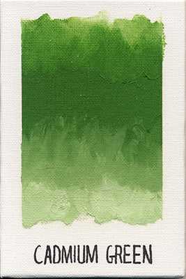 Williamsburg Oils - Brown or Green