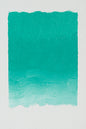 Williamsburg Oils - Brown or Green