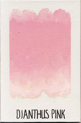 Williamsburg Oils - Orange or Red or Purple